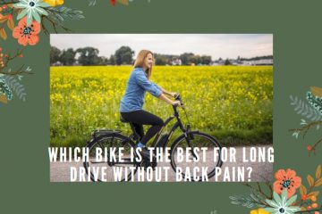 Which Bike is the Best for Long Drive Without Back Pain.