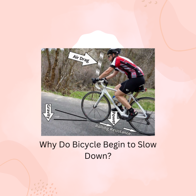 Why Do Bicycle Begin to Slow Down?