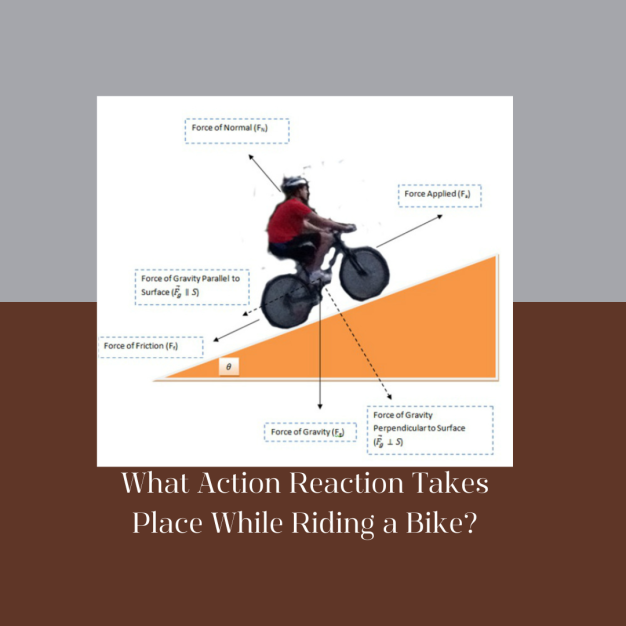 What Action Reaction Takes Place While Riding a Bike?