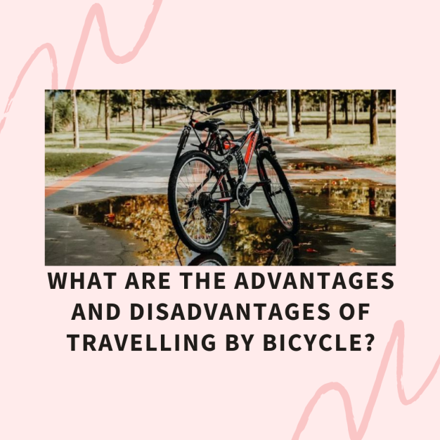 What are the Advantages and Disadvantages of Travelling by Bicycle?