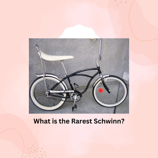 What is the Rarest Schwinn?