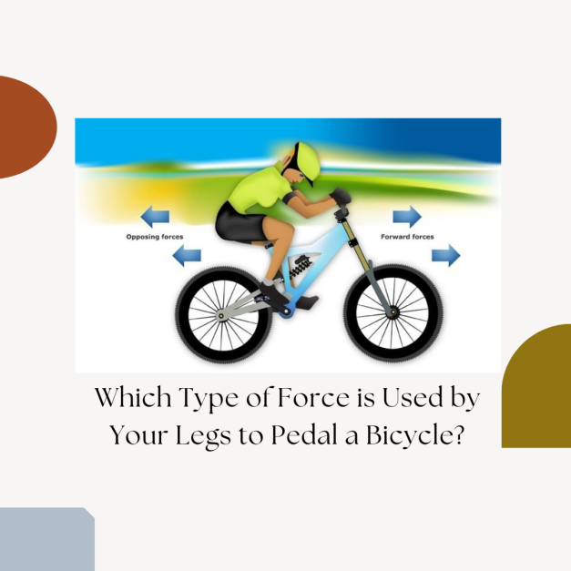 Which Type of Force is Used by Your Legs to Pedal a Bicycle?