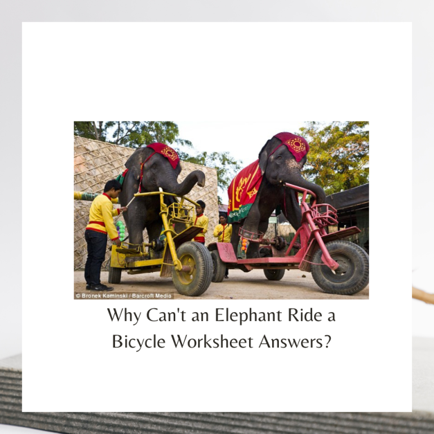 Why Can't an Elephant Ride a Bicycle Worksheet Answers?